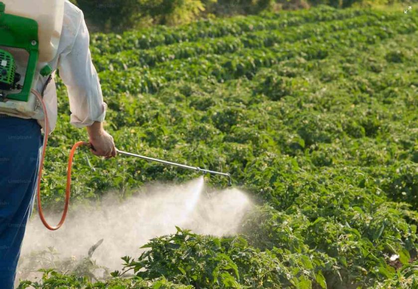 Altera&ccedil;&atilde;o da validade da habilita&ccedil;&atilde;o de aplicador de produtos fitofarmac&ecirc;uticos  
